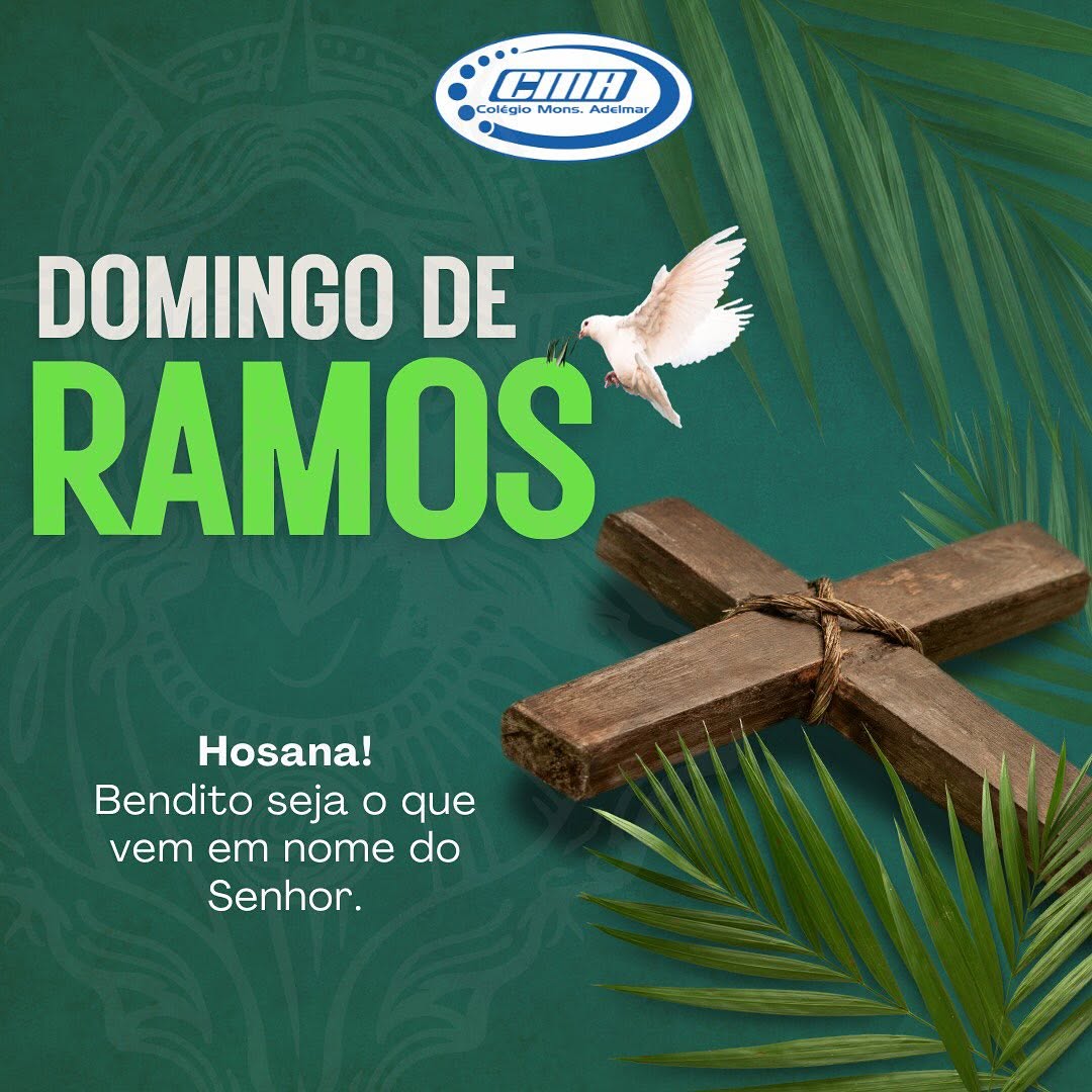 491443240 18320604481202456 971468455997314692 n