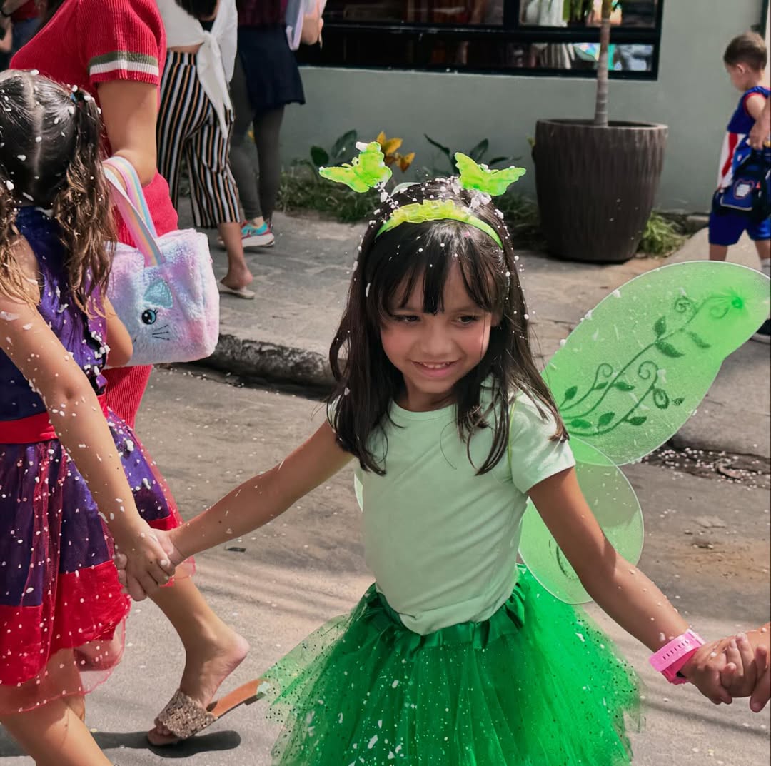 carroselcarncavalcma 1