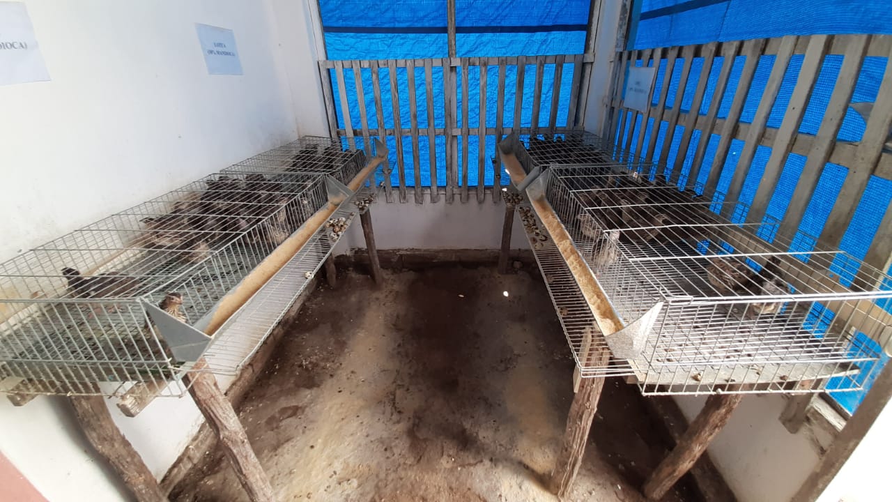 WhatsApp Image 2019-09-17 at 12.49.43 (2)