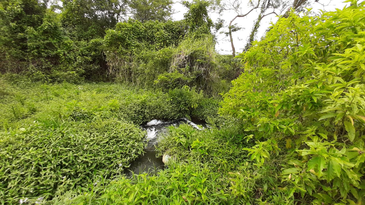 WhatsApp Image 2019-09-17 at 12.49.44