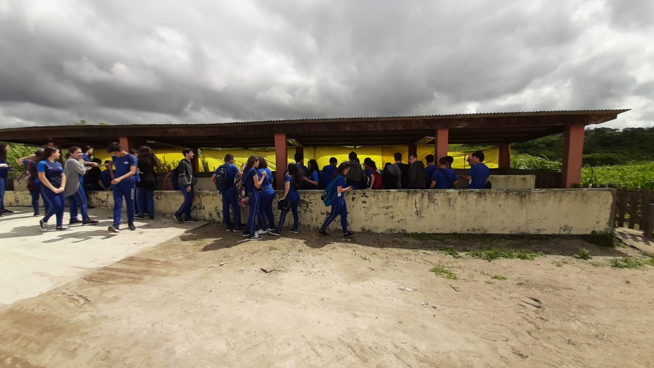 WhatsApp Image 2019-09-17 at 12.50.12