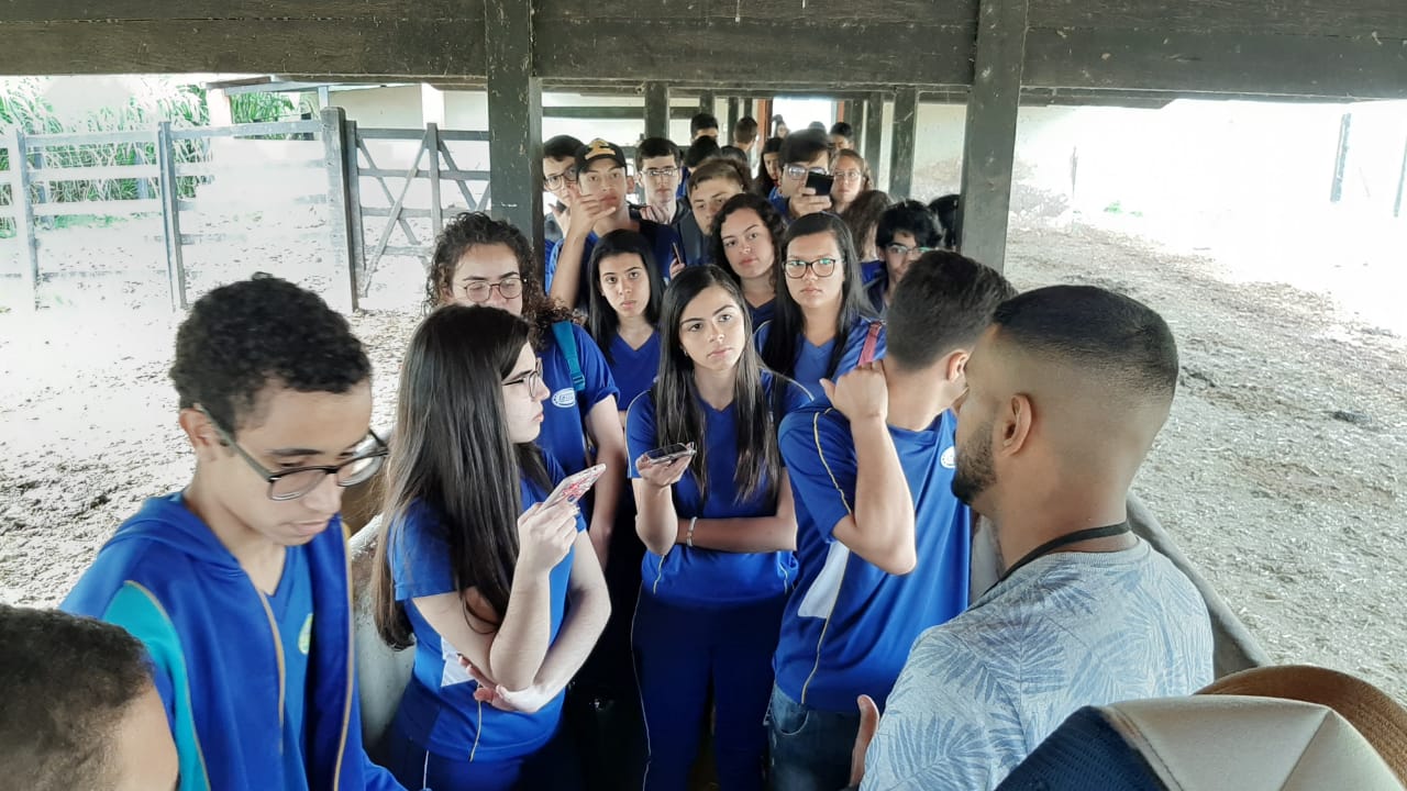 WhatsApp Image 2019-09-17 at 12.50.09